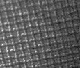 Zeige Details für Pollenschutzgaze für Fenster Bild von Pollenschutzgaze für Fenster